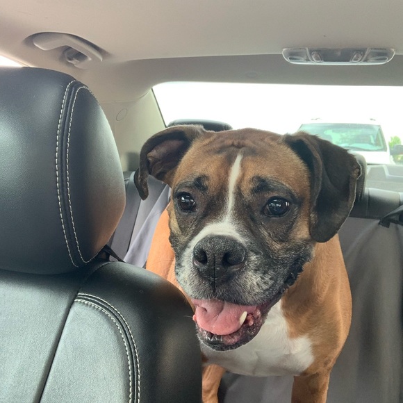 Meet your Posher, Kelly - Picture 4 of 4